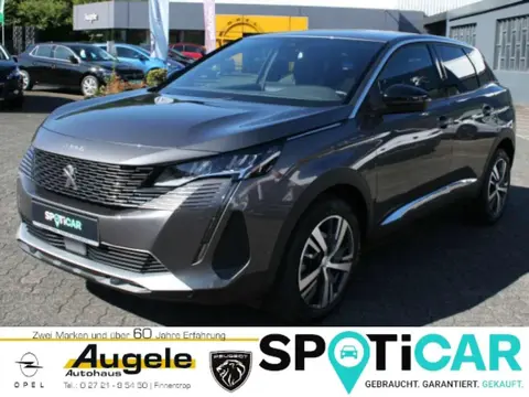 Used PEUGEOT 3008 Petrol 2023 Ad 