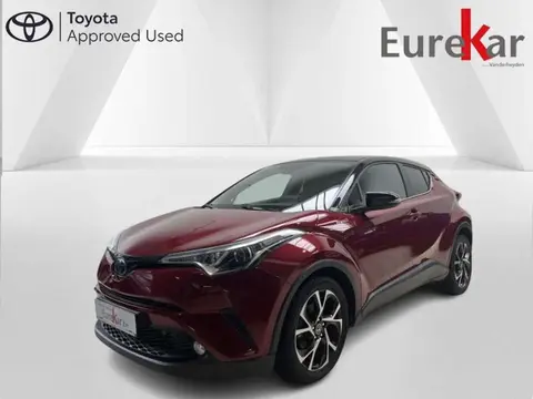 Used TOYOTA C-HR Hybrid 2019 Ad 