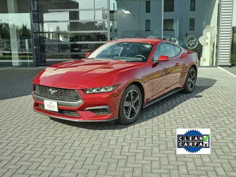 Annonce FORD MUSTANG Essence 2023 d'occasion 