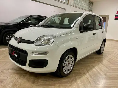 Used FIAT PANDA Petrol 2016 Ad 