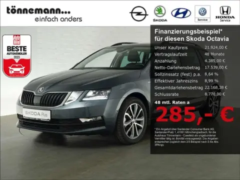 Annonce SKODA OCTAVIA Essence 2020 d'occasion 