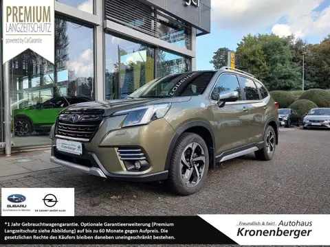 Annonce SUBARU FORESTER Essence 2024 d'occasion 