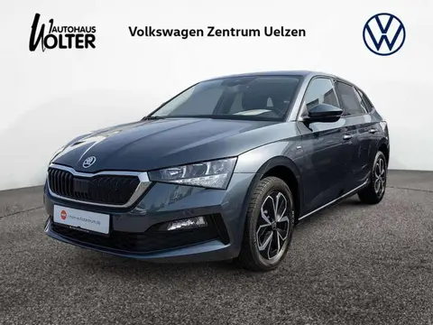 Annonce SKODA SCALA Diesel 2021 d'occasion 