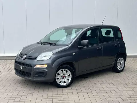 Used FIAT PANDA Petrol 2017 Ad 