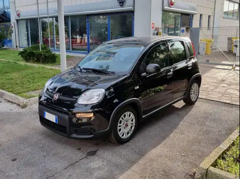 Used FIAT PANDA Hybrid 2023 Ad 