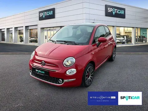 Used FIAT 500 Petrol 2023 Ad 