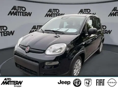 Used FIAT PANDA Petrol 2024 Ad 