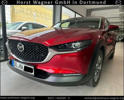 Used MAZDA CX-30 Hybrid 2024 Ad 