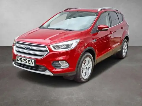 Used FORD KUGA Diesel 2019 Ad 