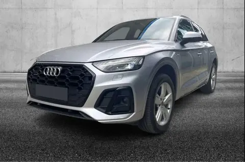 Used AUDI Q5 Hybrid 2021 Ad 