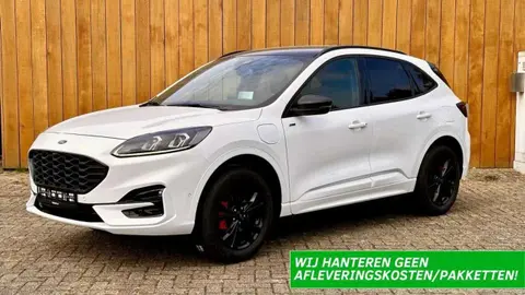 Annonce FORD KUGA Hybride 2023 d'occasion 