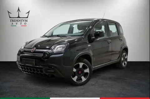 Used FIAT PANDA Hybrid 2023 Ad 