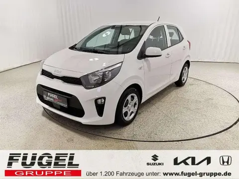 Used KIA PICANTO Petrol 2024 Ad 