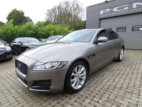 Annonce JAGUAR XF Essence 2019 d'occasion 