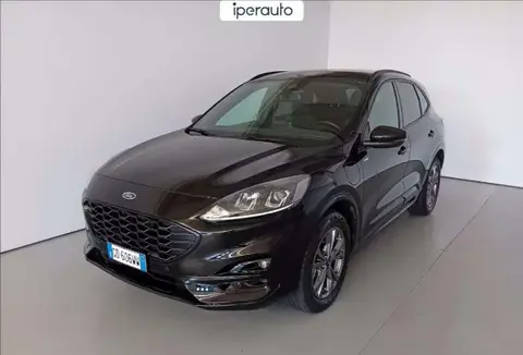 Annonce FORD KUGA Hybride 2021 d'occasion 