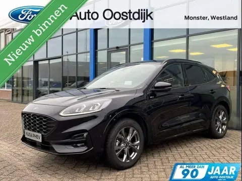 Used FORD KUGA Hybrid 2022 Ad 