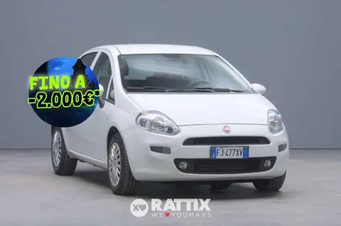 Annonce FIAT PUNTO Diesel 2017 d'occasion 