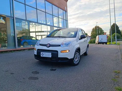 Annonce FIAT PANDA Hybride 2024 d'occasion 