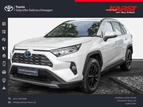 Used TOYOTA RAV4 Hybrid 2019 Ad 