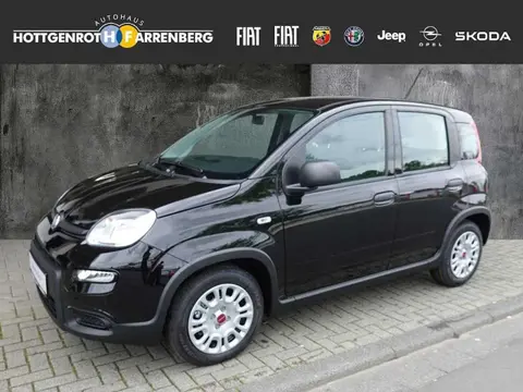 Annonce FIAT PANDA Essence 2024 d'occasion 