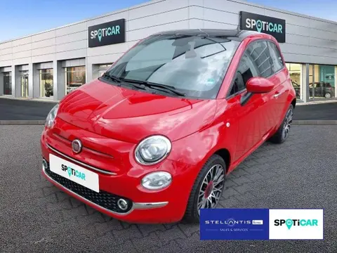 Used FIAT 500 Petrol 2023 Ad 