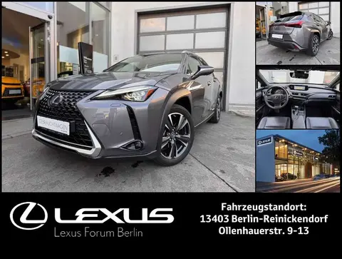 Annonce LEXUS UX Hybride 2021 d'occasion 