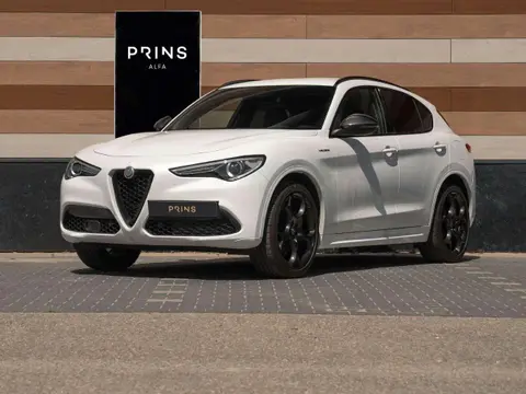 Used ALFA ROMEO STELVIO Petrol 2020 Ad 