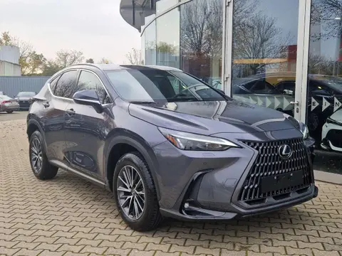 Used LEXUS NX Hybrid 2024 Ad 