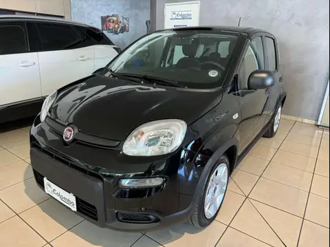 Used FIAT PANDA Hybrid 2023 Ad 