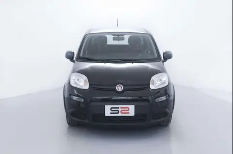 Used FIAT PANDA Hybrid 2023 Ad 