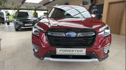 Annonce SUBARU FORESTER Hybride 2024 d'occasion 