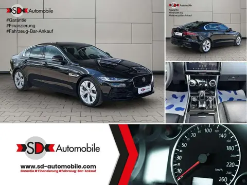 Used JAGUAR XE Petrol 2020 Ad 