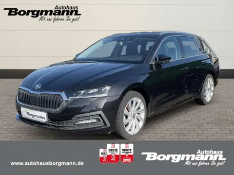 Used SKODA OCTAVIA Petrol 2021 Ad 