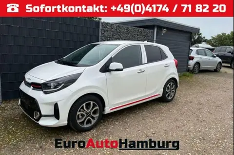 Used KIA PICANTO Petrol 2024 Ad 