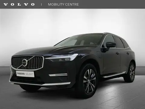 Annonce VOLVO XC60 Hybride 2022 d'occasion 