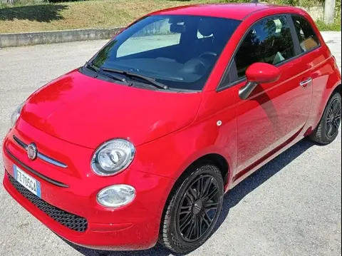 Used FIAT 500 Petrol 2019 Ad 