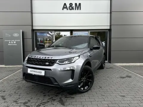 Used LAND ROVER DISCOVERY Hybrid 2020 Ad Belgium