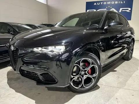 Used ALFA ROMEO STELVIO Diesel 2024 Ad Italy