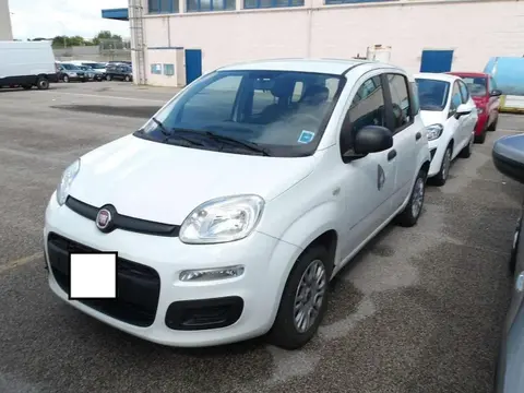 Used FIAT PANDA Petrol 2017 Ad 