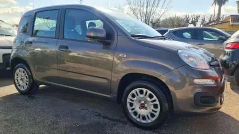 Annonce FIAT PANDA Essence 2019 d'occasion 