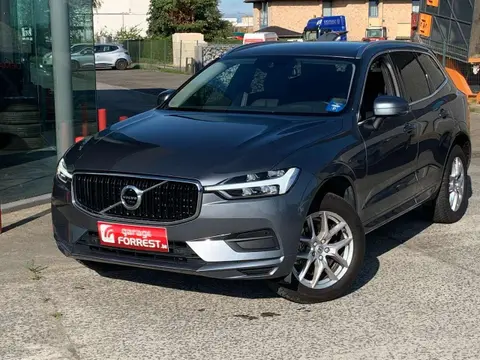 Annonce VOLVO XC60 Diesel 2019 d'occasion 