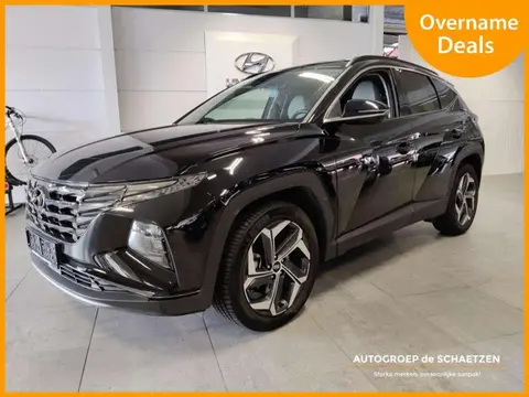 Used HYUNDAI TUCSON Hybrid 2023 Ad 