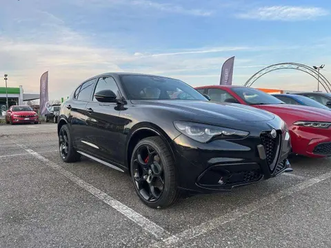 Annonce ALFA ROMEO STELVIO Diesel 2024 d'occasion 