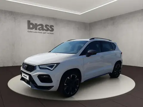 Annonce CUPRA ATECA Essence 2023 d'occasion 