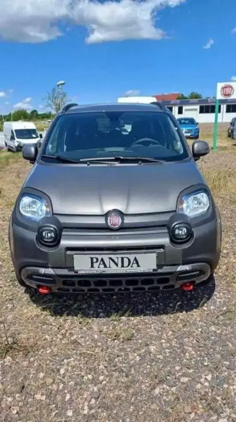 Used FIAT PANDA Petrol 2023 Ad 