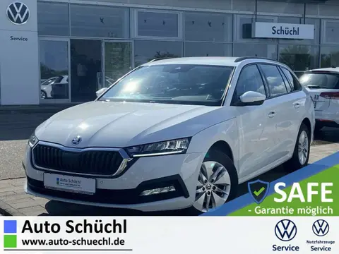 Used SKODA OCTAVIA Diesel 2020 Ad 