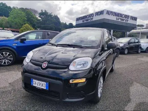 Annonce FIAT PANDA Hybride 2024 d'occasion 