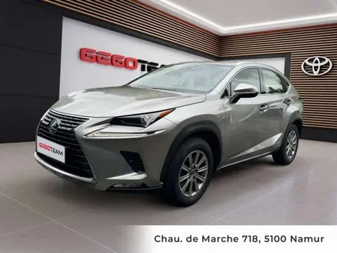 Used LEXUS NX Hybrid 2019 Ad 