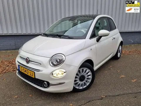 Annonce FIAT 500 Essence 2019 d'occasion 