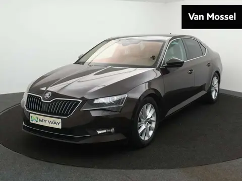 Annonce SKODA SUPERB Diesel 2019 d'occasion 